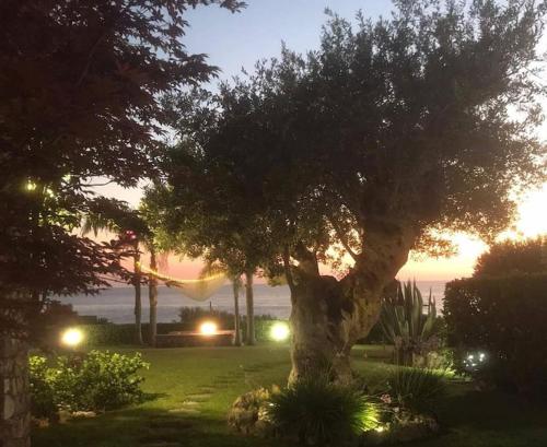 Un'oasi di relax con giardino sul mare!