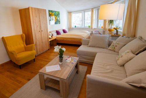 1 king bed, 1 sofa bed