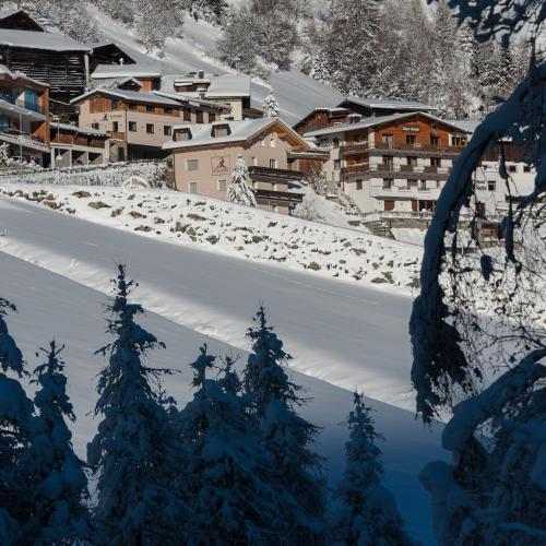 Haus Burgner in อุลมิช