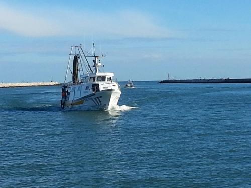 Appartamento Frontemare Azzurra - image 5
