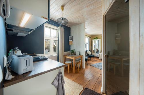 Garden Studio next to Telliskivi & Old Town, Tallinn (foto 7)