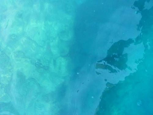 Casa vista mare Casa vista mare