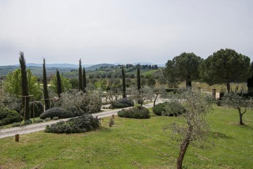 554360642 Castello Del Nero - Podere San Filippo