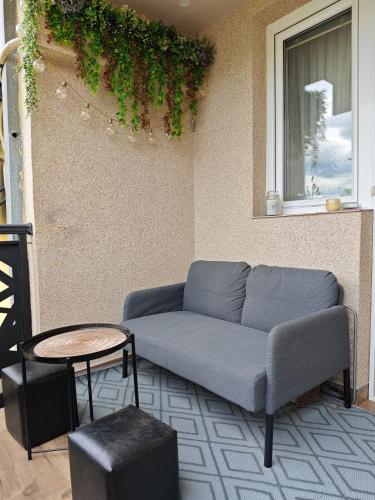 Erkély/terasz, Apartman Julija in Donji Milanovac