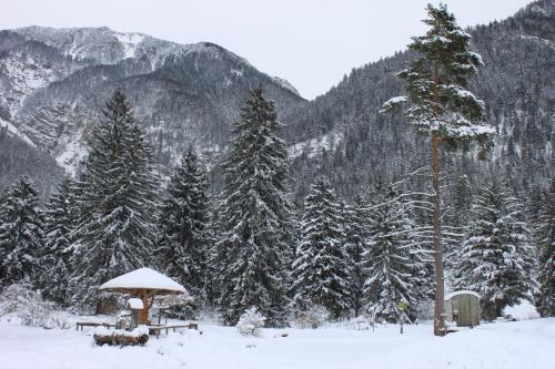 Surrounding environment, Apartment Zugspitz in Farchant