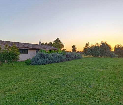 Agriturismo Fontelupo - image 5