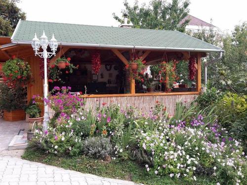  Vadszőlő Vendégház in Vonyarcvashegy