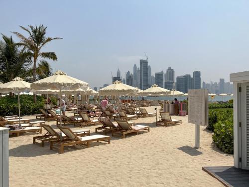 Signature Studio at Seven Palm - image 5
