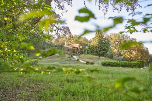 周邊環境, Navalgatos de El Tragaluz in 福恩泰耶里多斯