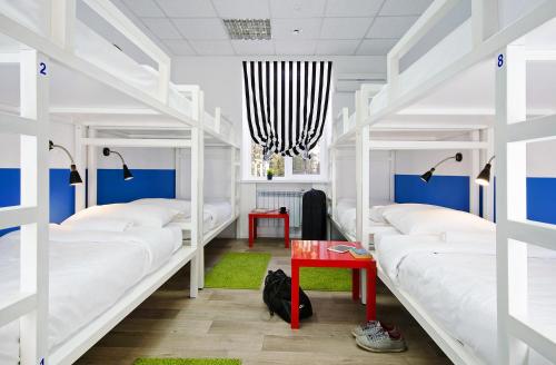 Maxi House Hostel - image 3