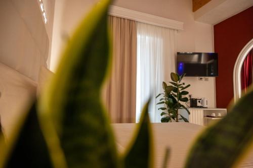 La Divina Room Type - Deluxe King Room