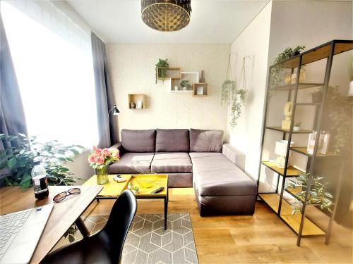Cozy apartments in Tartu