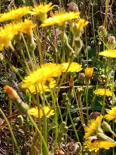 Bed and Breakfast Nicole Ponti