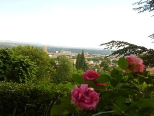 chambre d'hote de charme Villa les Iris proche centre ville - Accommodation - Aix-en-Provence