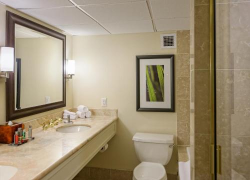 Houston Marriott West Loop by The Galleria - image 12