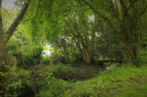 Gîte avec étang privé du Choupisson