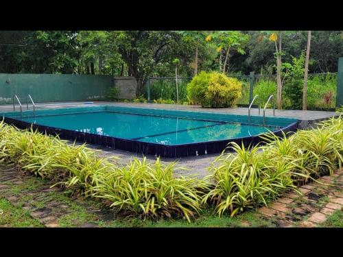 Hotel Tree Garden Wilpaththu Nochchiyagma Anuradhapura in متنزه ويلباتو الوطني
