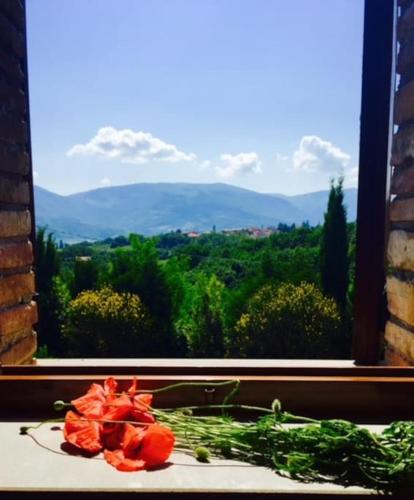 Colgiglione, un borgo nella verde Umbria