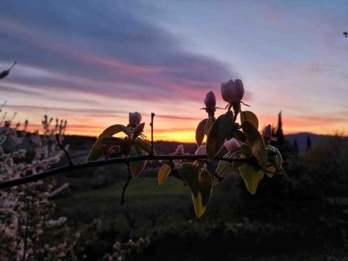 Colgiglione, un borgo nella verde Umbria