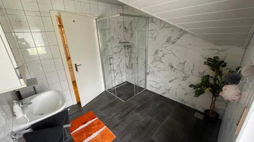 Phönix (Phonix) in 巴特阿巴赫