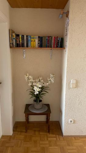 Phönix (Phonix) in 巴特阿巴赫