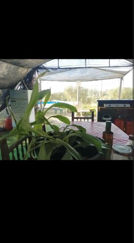 Tienda acogedora con piscina "Amantes de la naturaleza" 1 in 阿蒙特