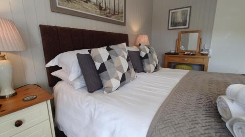 Plas Tan y Graig B&B Guest House Beddgelert