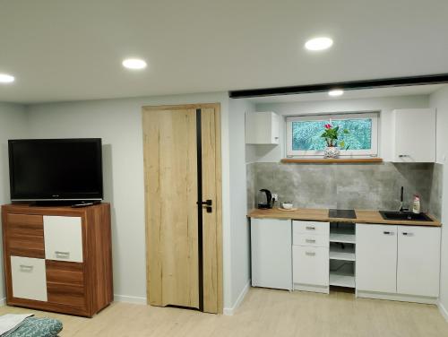 Apartament z ogrodem I - Przemysl