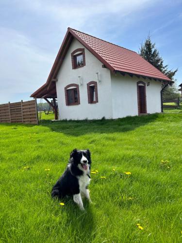 Domek Bajka Domek Bajka