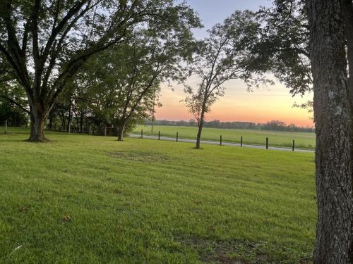 Relaxing farm retreat and cattle experience close to college golf and casinos