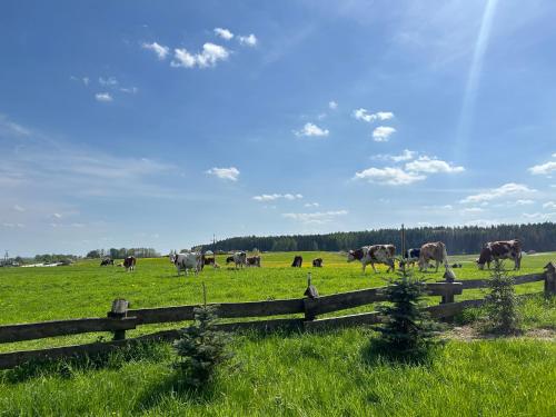 Domek Bajka Domek Bajka