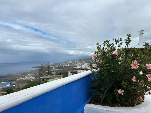 Casa La Oliva 1 Casa La Oliva 1