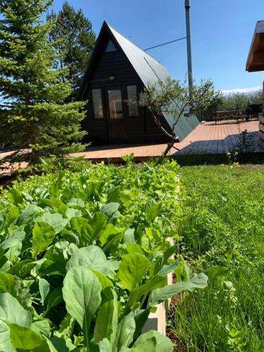 Cozy Cabin in Stunning Nature - Borgarfjordur