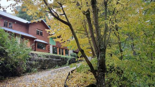 Cabana rodeada de bosque nativo para 12 c parrilla in San Martin De Los Andes