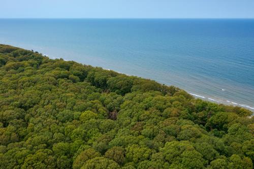 Gebhard Chalet - Charming, private, beachfront chalet nestled in a wooded dune on Lake Michigan