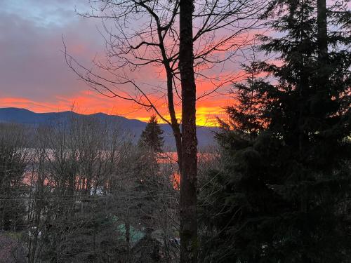 View, Along the Way in Youbou (BC)