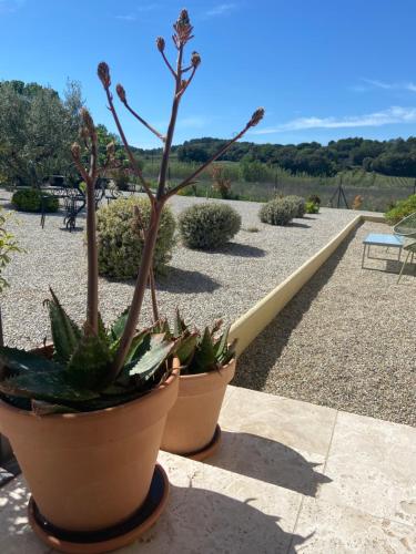 Villa climatisée avec piscine CHAUFFÉE au cœur du massif d'Uchaux , calme absolu !