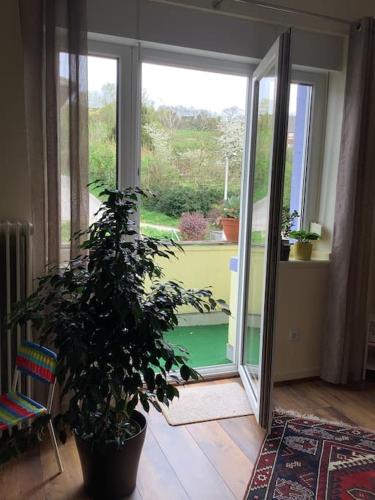 Kilátás, Wohnen in der Voreifel, CHIO, kinderfreundlich in Stolberg (Rhineland)