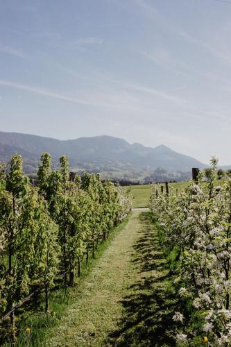 4 Sterne Ferienwohnung Hochries