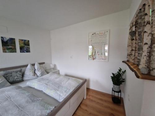 Apartment feelthenature