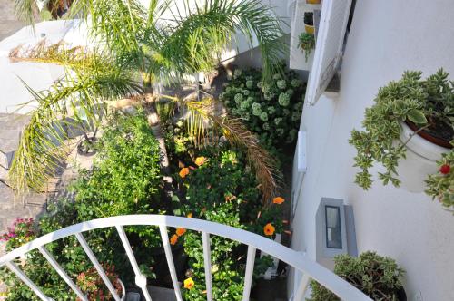 Villa Searose - image 11
