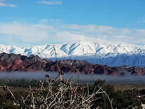 La Genoveva Posada entre Viñedos