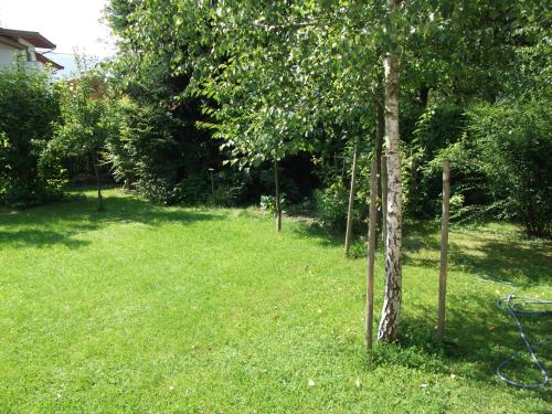 Have, Sagzahnblick in Kundl