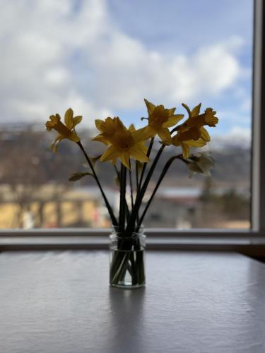Skats, Guesthouse Tálknafjörður (Guesthouse Talknafjorður) in Talknafjordur