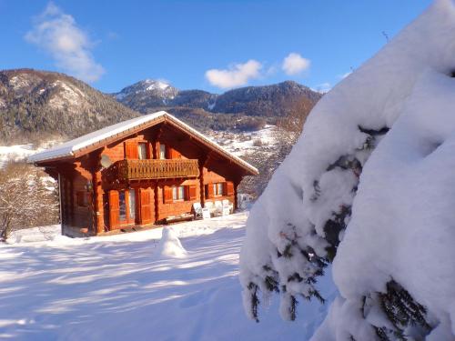 Chalet esprit Savoyard