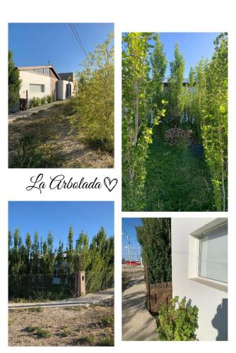 . La Arbolada