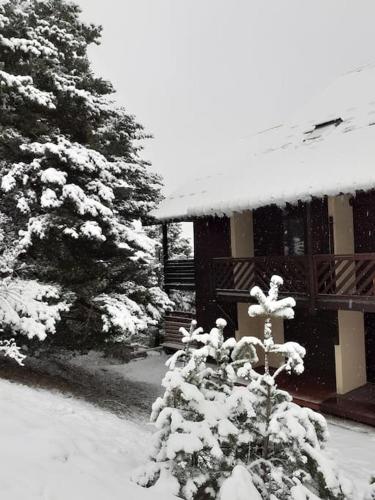 Le duplex de Dana, à Gresse-en-Vercors - 38 - (Alpes du Nord) Gresse-en-Vercors