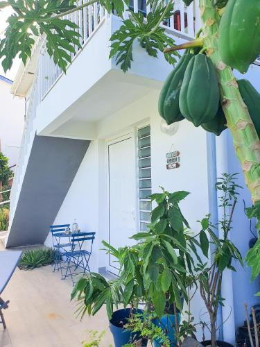 Studio Chez Anna - vue mer et piscine in Le Carbet