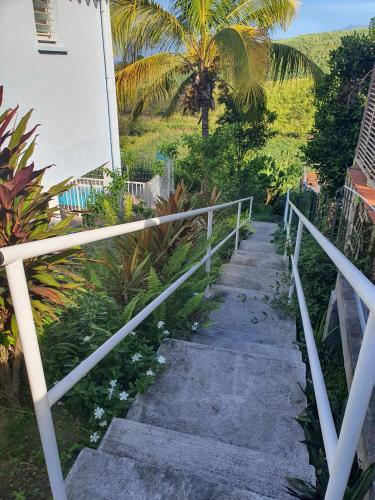 Studio Chez Anna - vue mer et piscine in Le Carbet