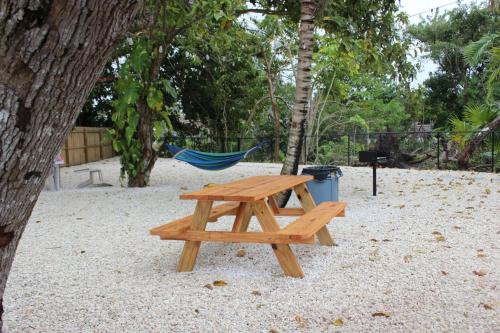 Renovated Villa Resort style pool, BBQ & Ping Pong patio detail
